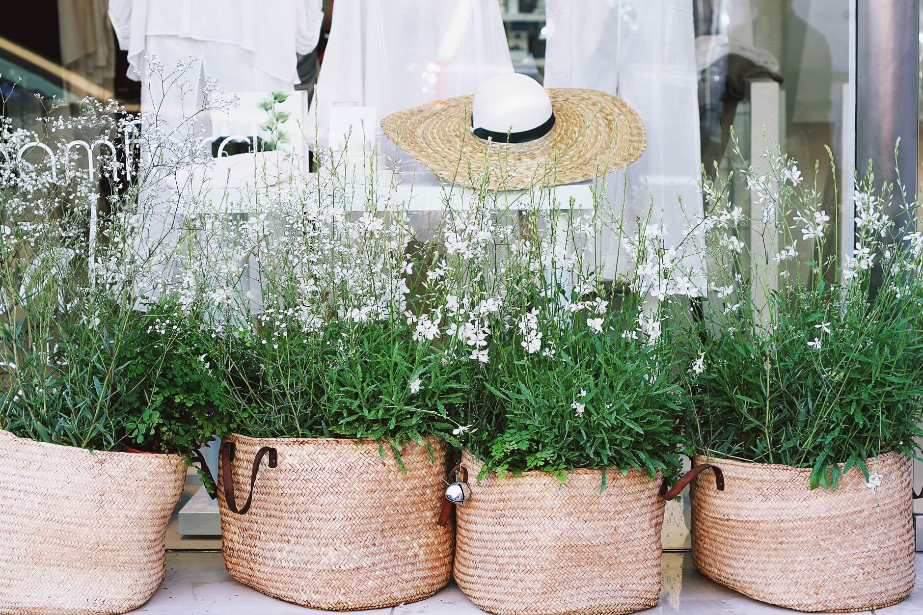 Plants in baskets in front of store window
