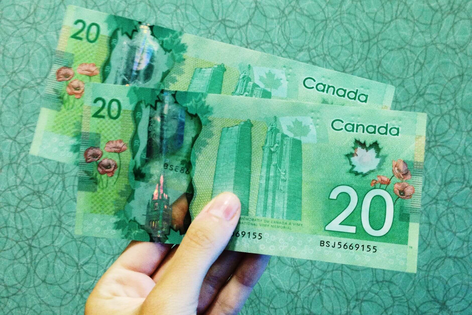 Hand holding up two twenty dollar bills